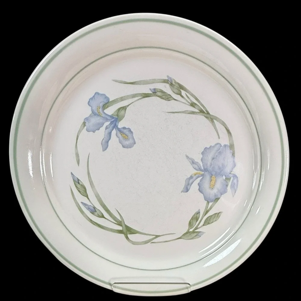 Corelle Cornerstone‎ IRIS Dinner Plates 10 1/4